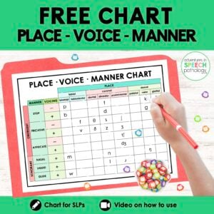 Place - Voice - Manner Chart – FREEBIE COVER
